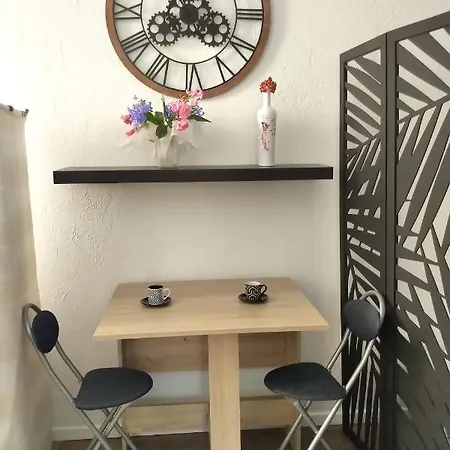 Magnifique Studio Coeur Vieil Apartment *
